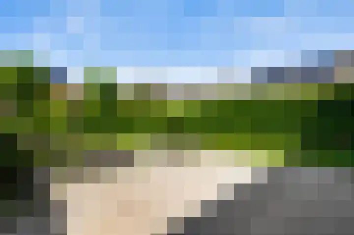 Lijster 16 Eijsden thumbnail 4