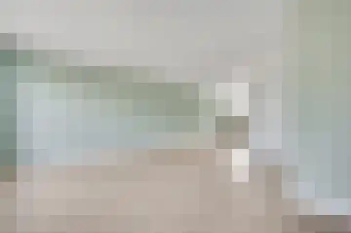 Lijster 16 Eijsden thumbnail 7