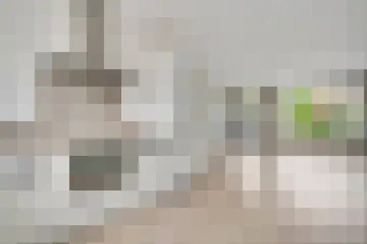 Lijster 16 Eijsden thumbnail 9
