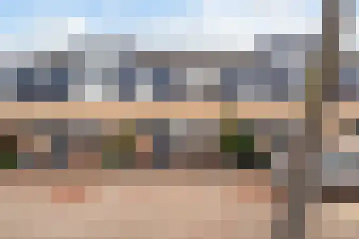 Lijster 17 dans De Lier