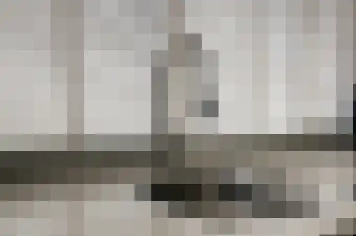 Lijster 19 De Lier thumbnail 18