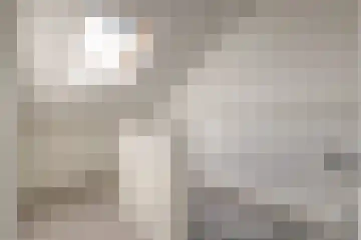 Lijster 19 De Lier thumbnail 31