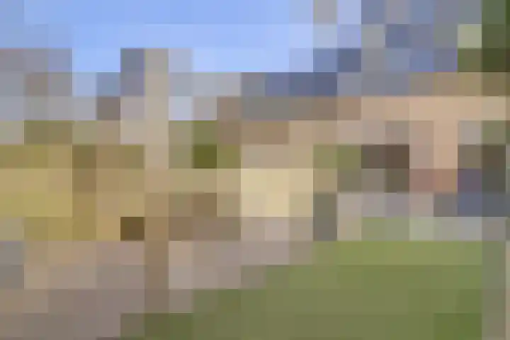 Lijster 19 De Lier thumbnail 39