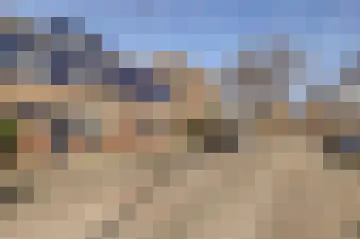 Lijster 19 De Lier thumbnail 43