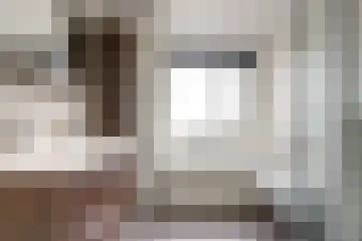 Lijster 19 De Lier thumbnail 6