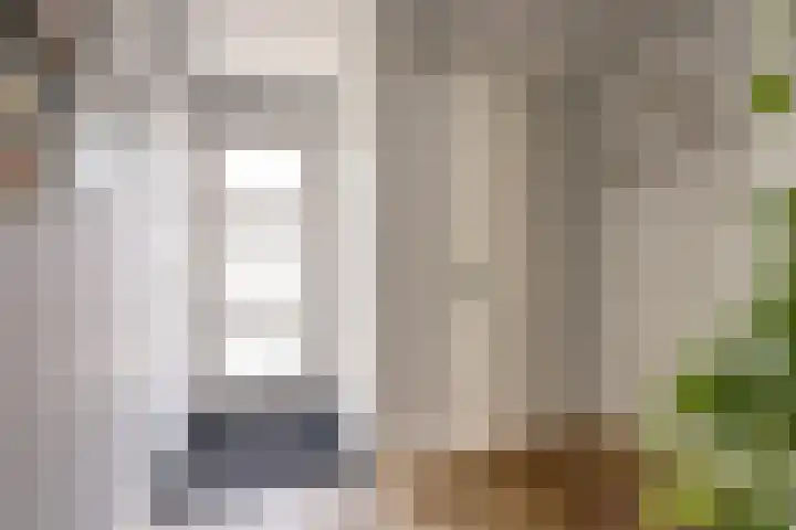 Lijster 19 De Lier thumbnail 8