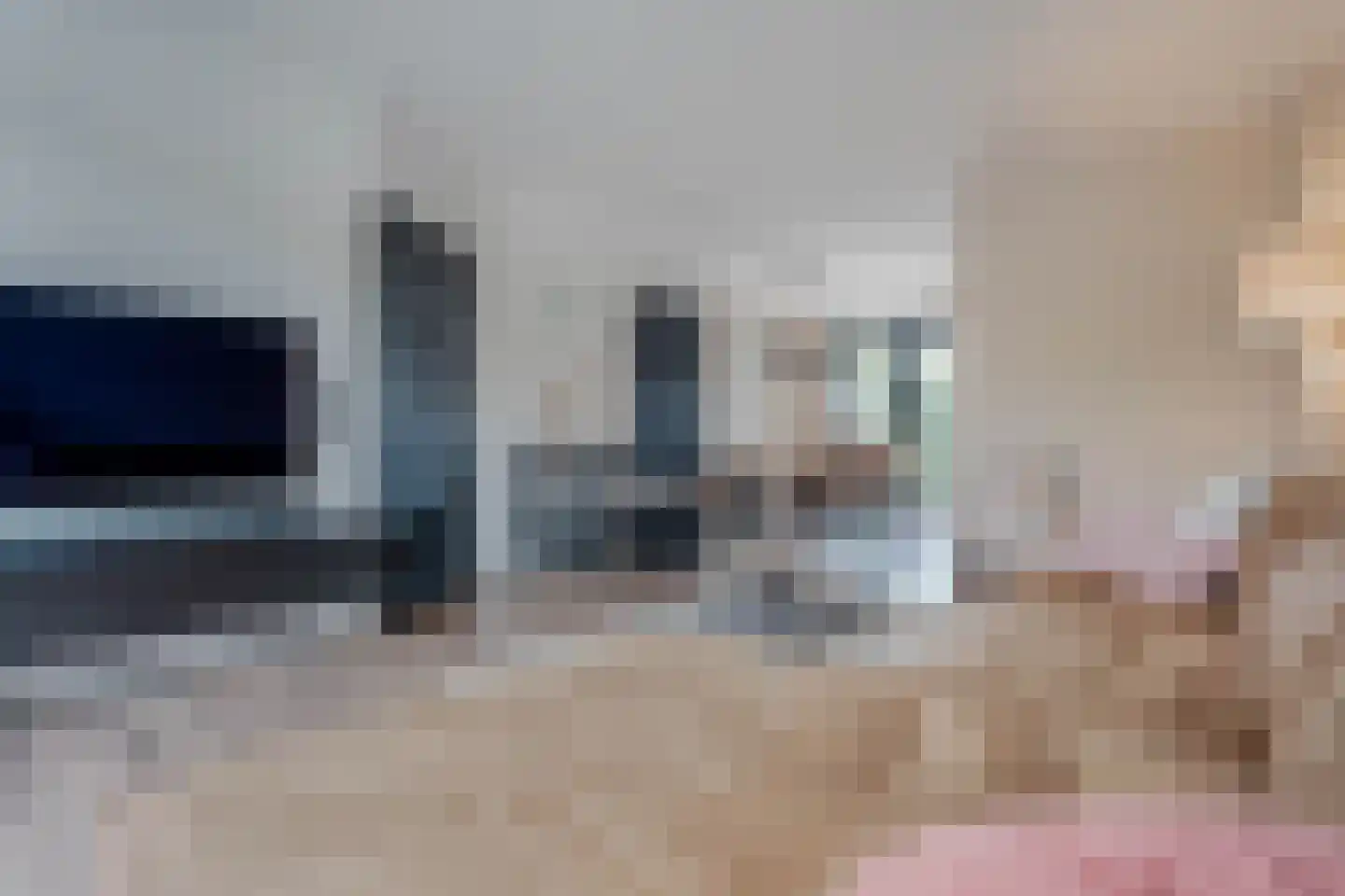 Lijster 21 Genemuiden thumbnail 10