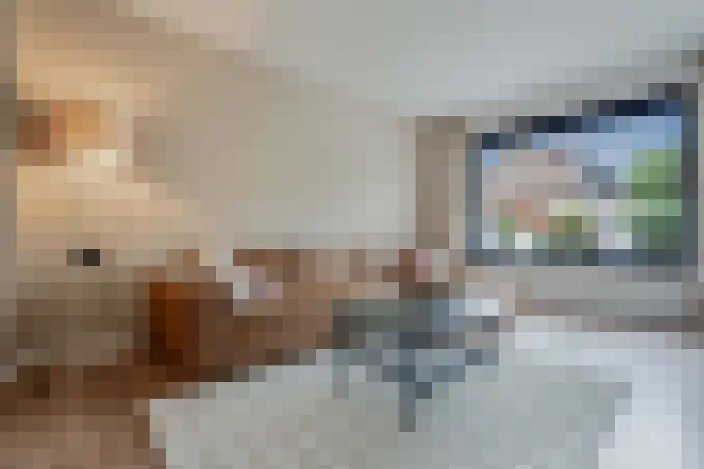 Lijster 21 Genemuiden thumbnail 12