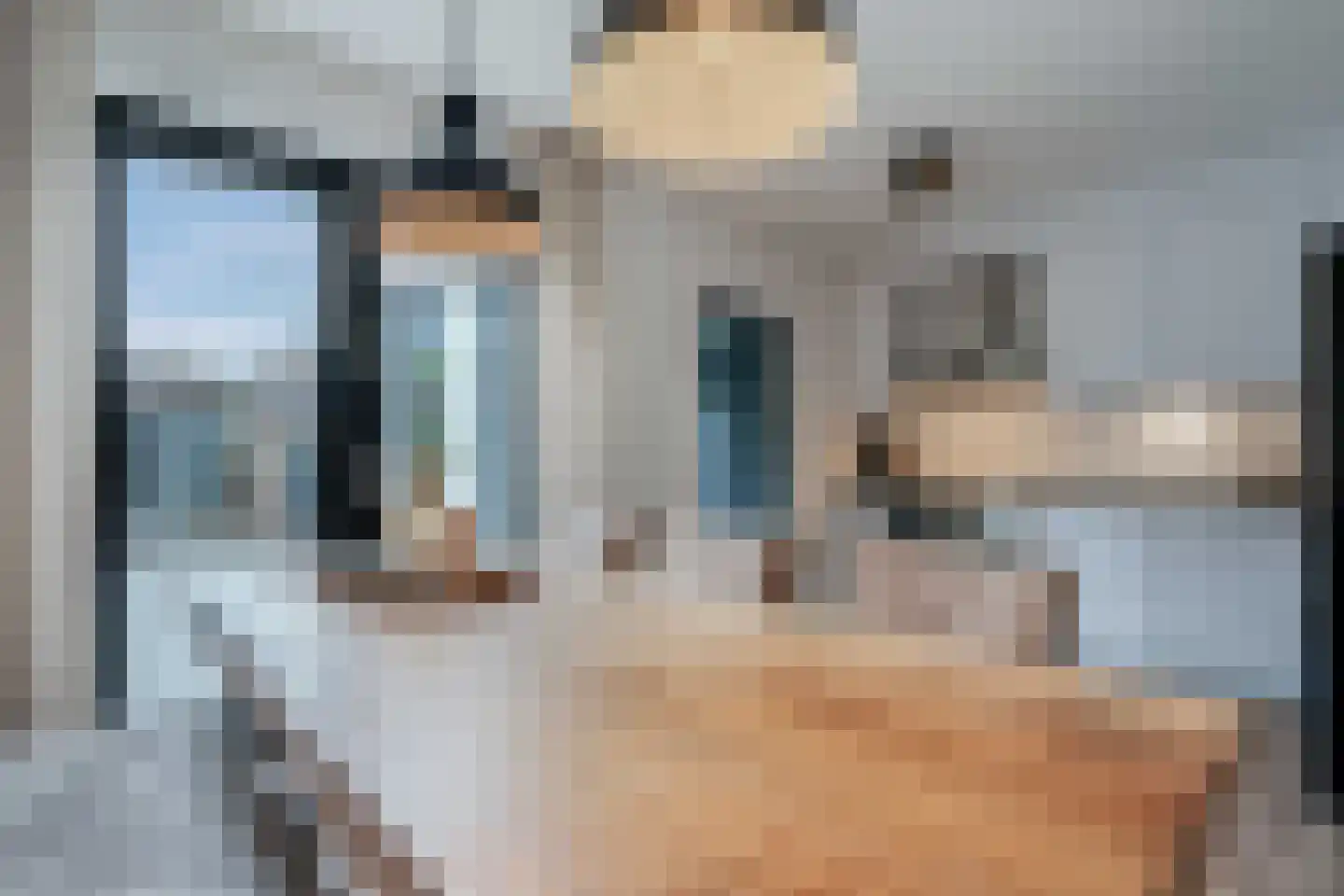 Lijster 21 Genemuiden thumbnail 14
