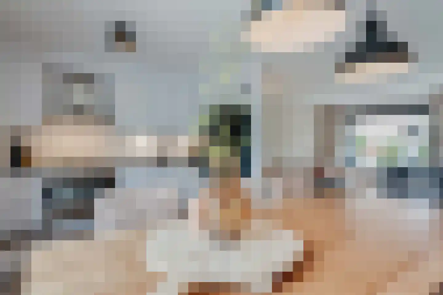 Lijster 21 Genemuiden thumbnail 15