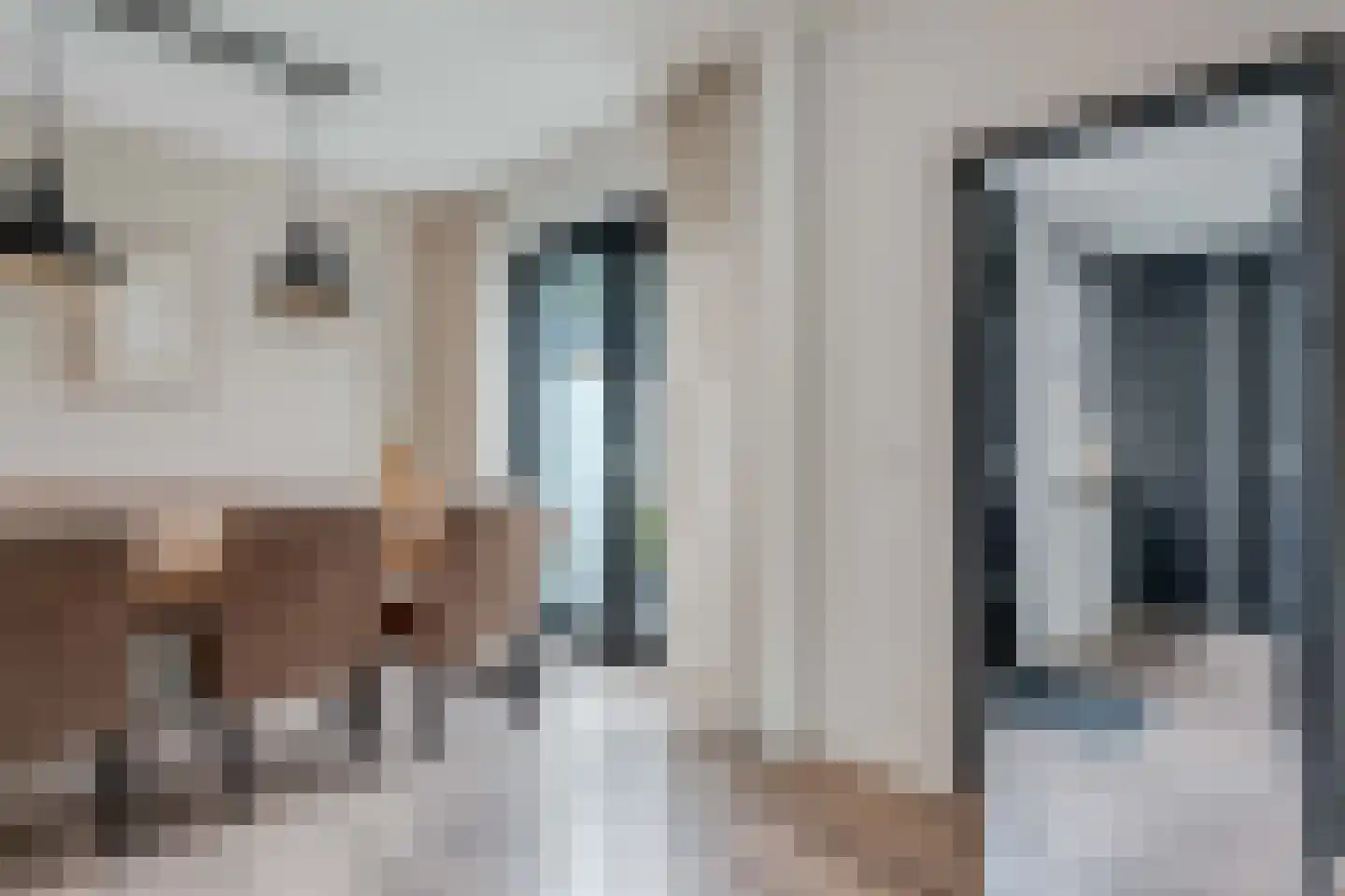 Lijster 21 Genemuiden thumbnail 18