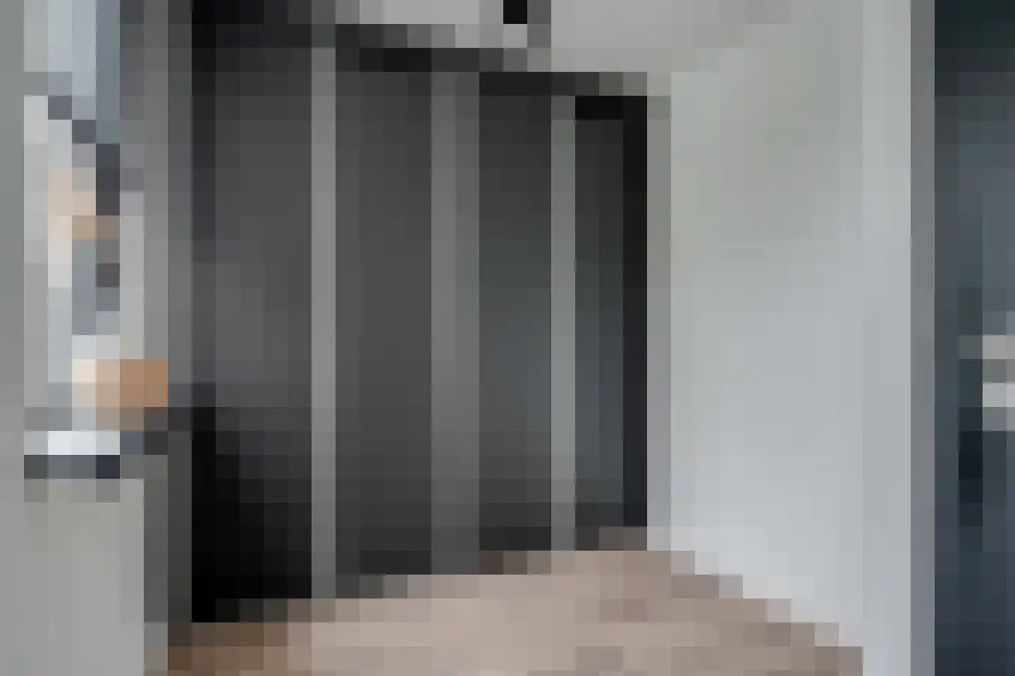 Lijster 21 Genemuiden thumbnail 19