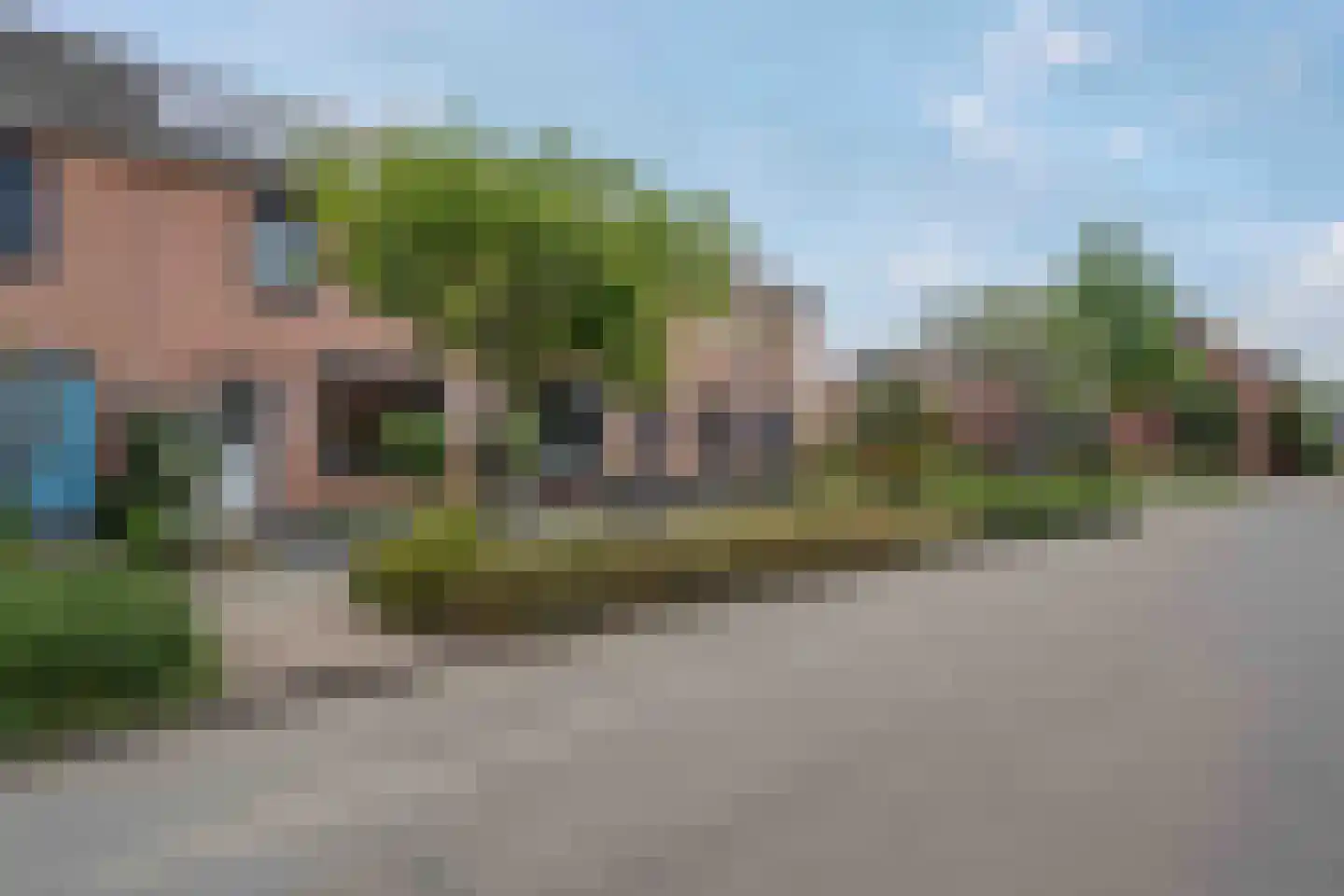 Lijster 21 Genemuiden foto 2