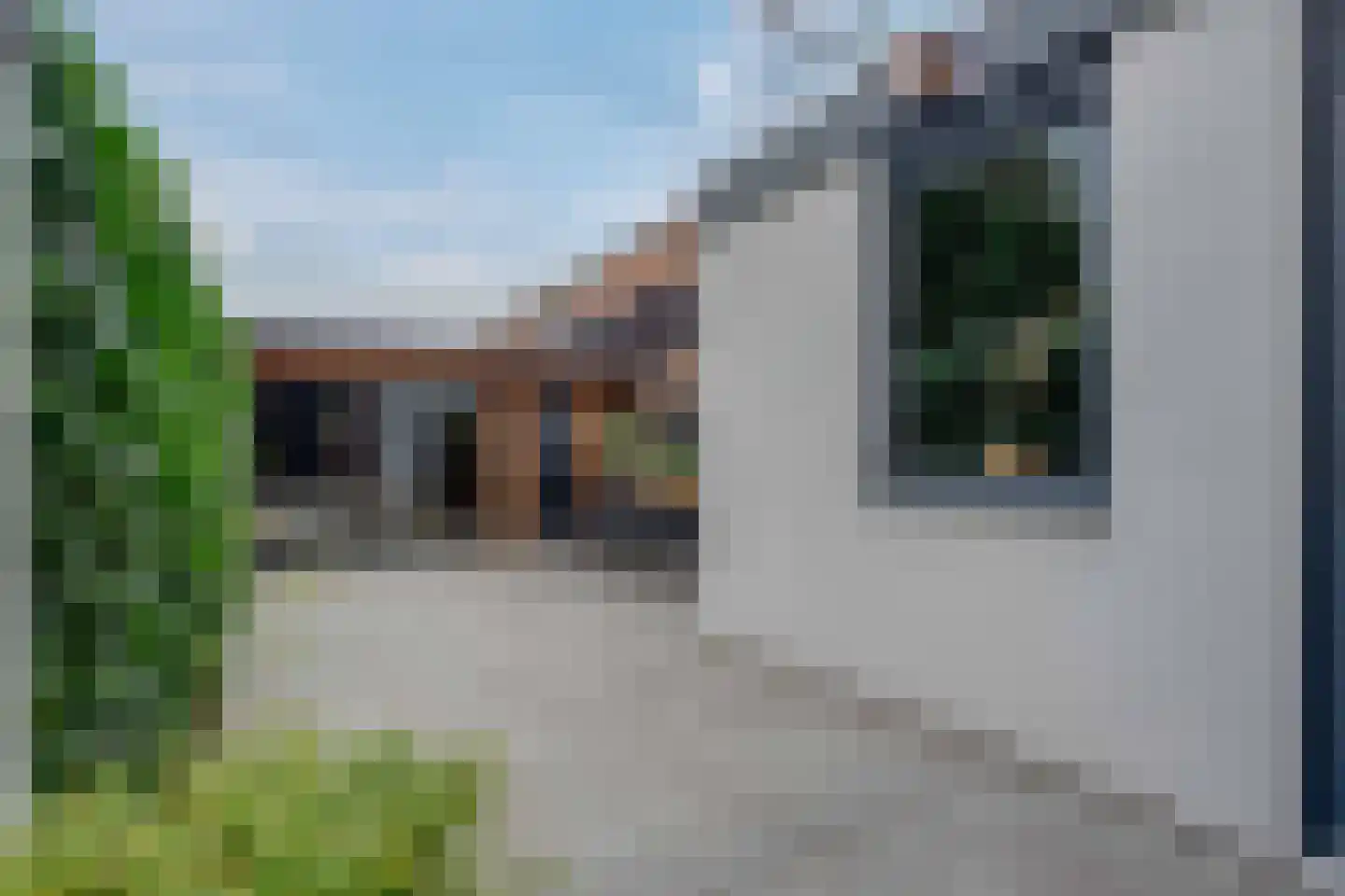 Lijster 21 Genemuiden thumbnail 21
