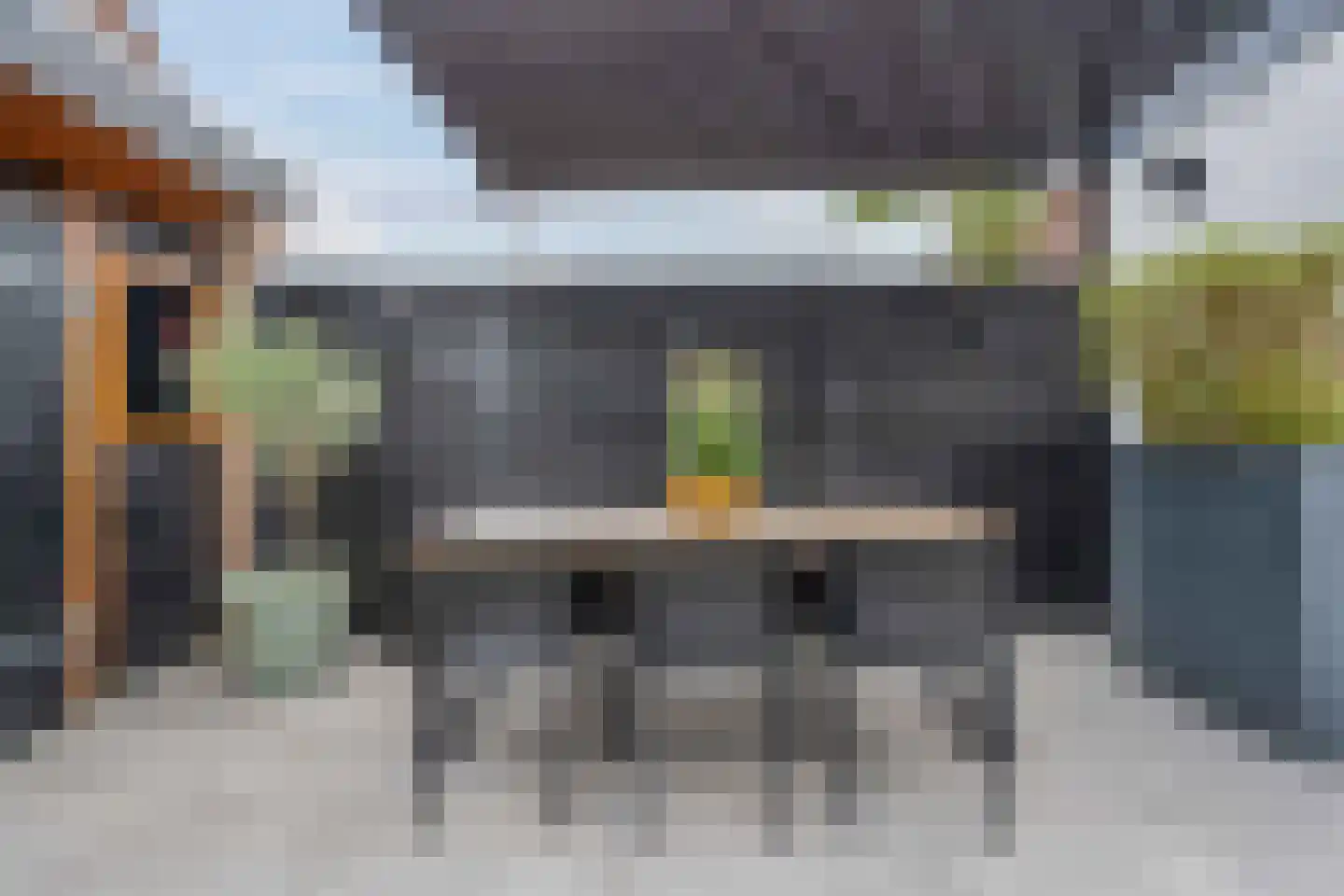 Lijster 21 Genemuiden thumbnail 25