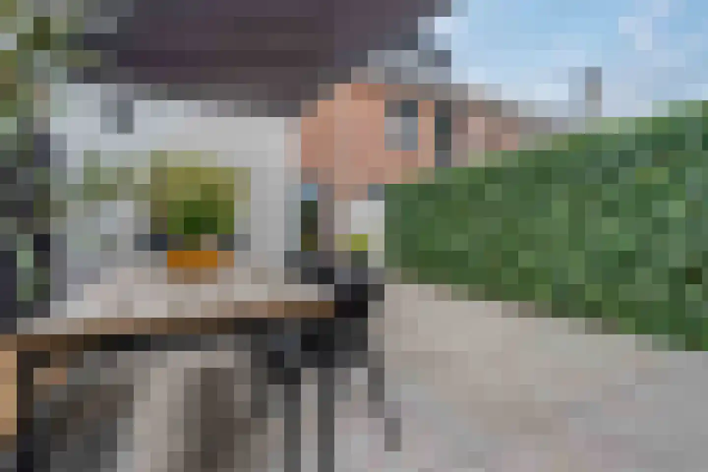 Lijster 21 Genemuiden thumbnail 27