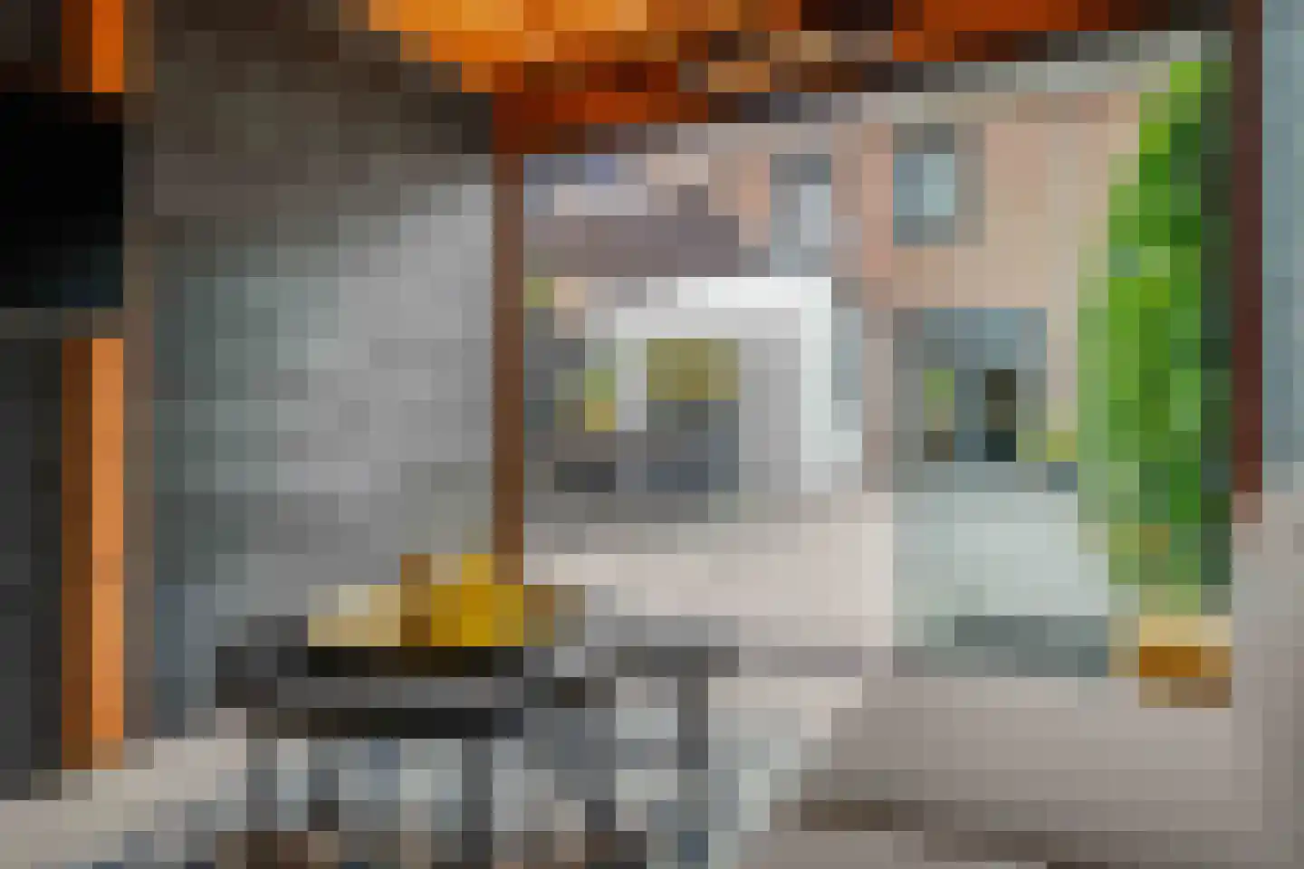 Lijster 21 Genemuiden thumbnail 29