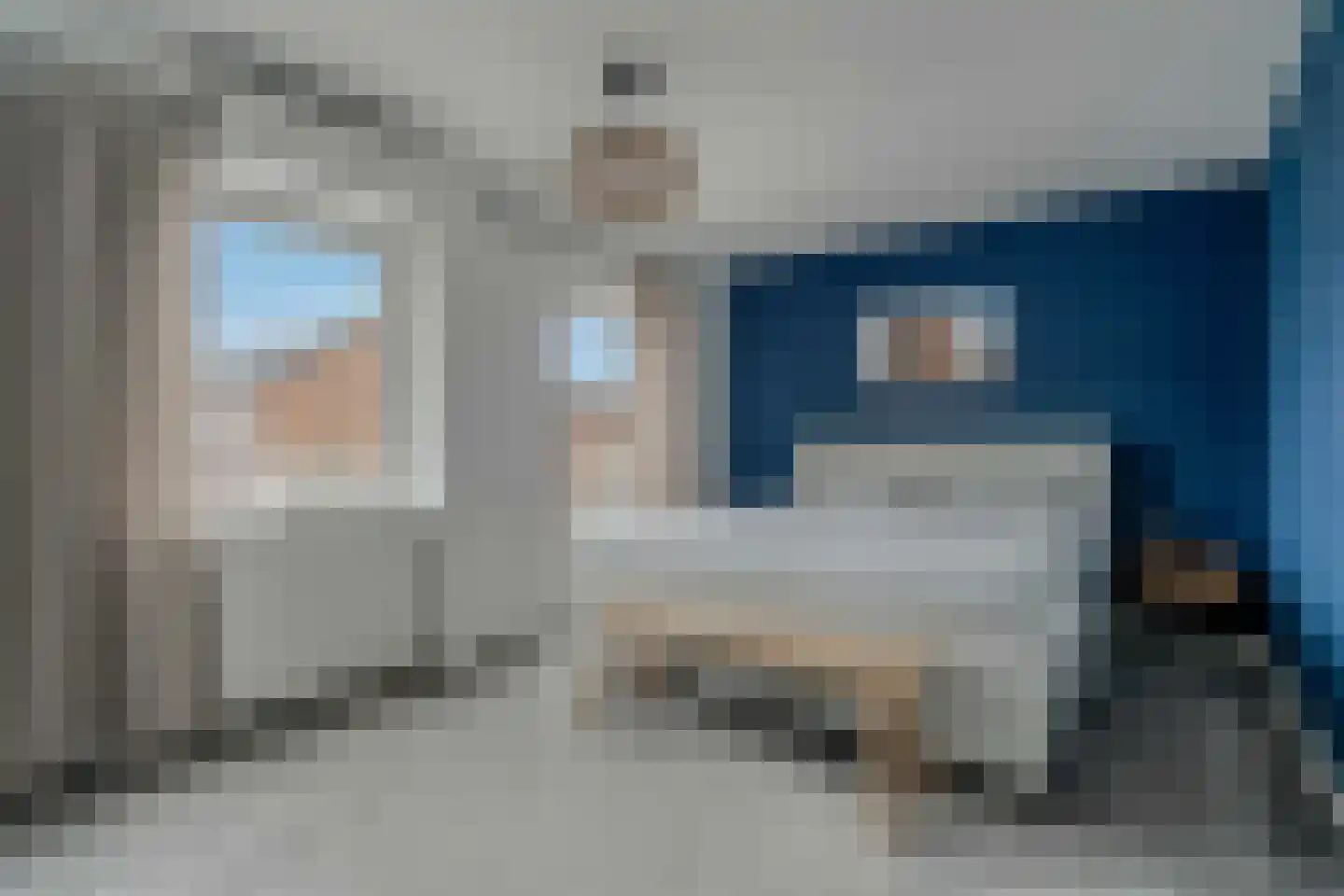 Lijster 21 Genemuiden thumbnail 31