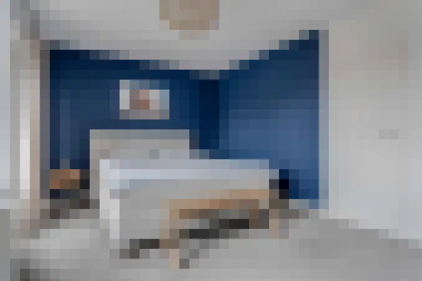 Lijster 21 Genemuiden thumbnail 32