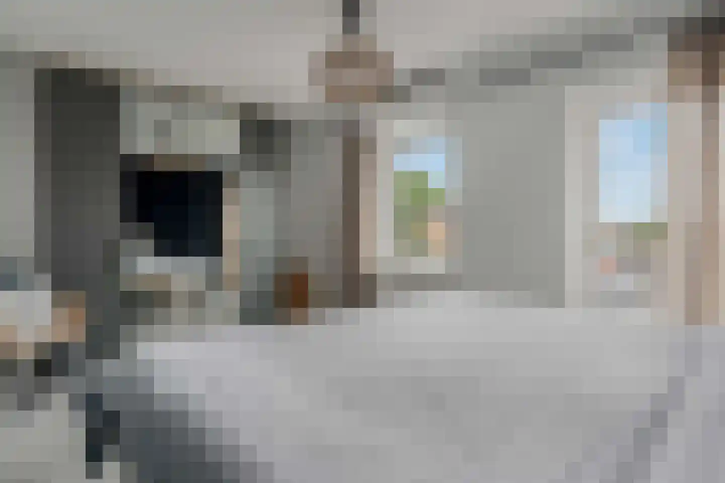 Lijster 21 Genemuiden thumbnail 33