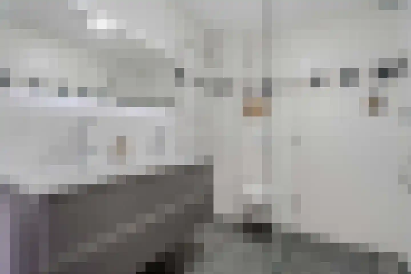Lijster 21 Genemuiden thumbnail 34