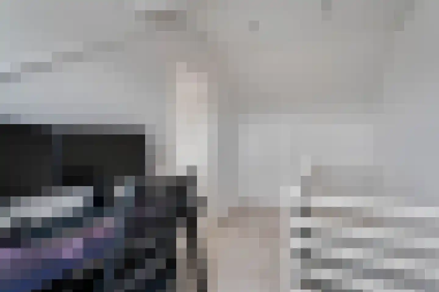 Lijster 21 Genemuiden thumbnail 41