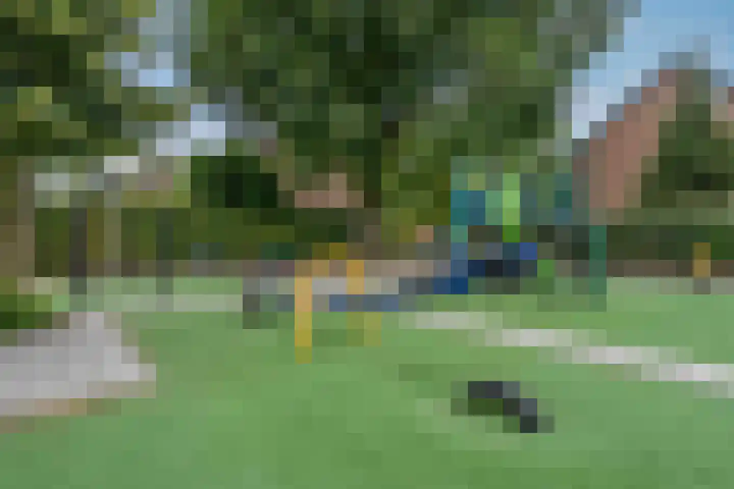 Lijster 21 Genemuiden thumbnail 45