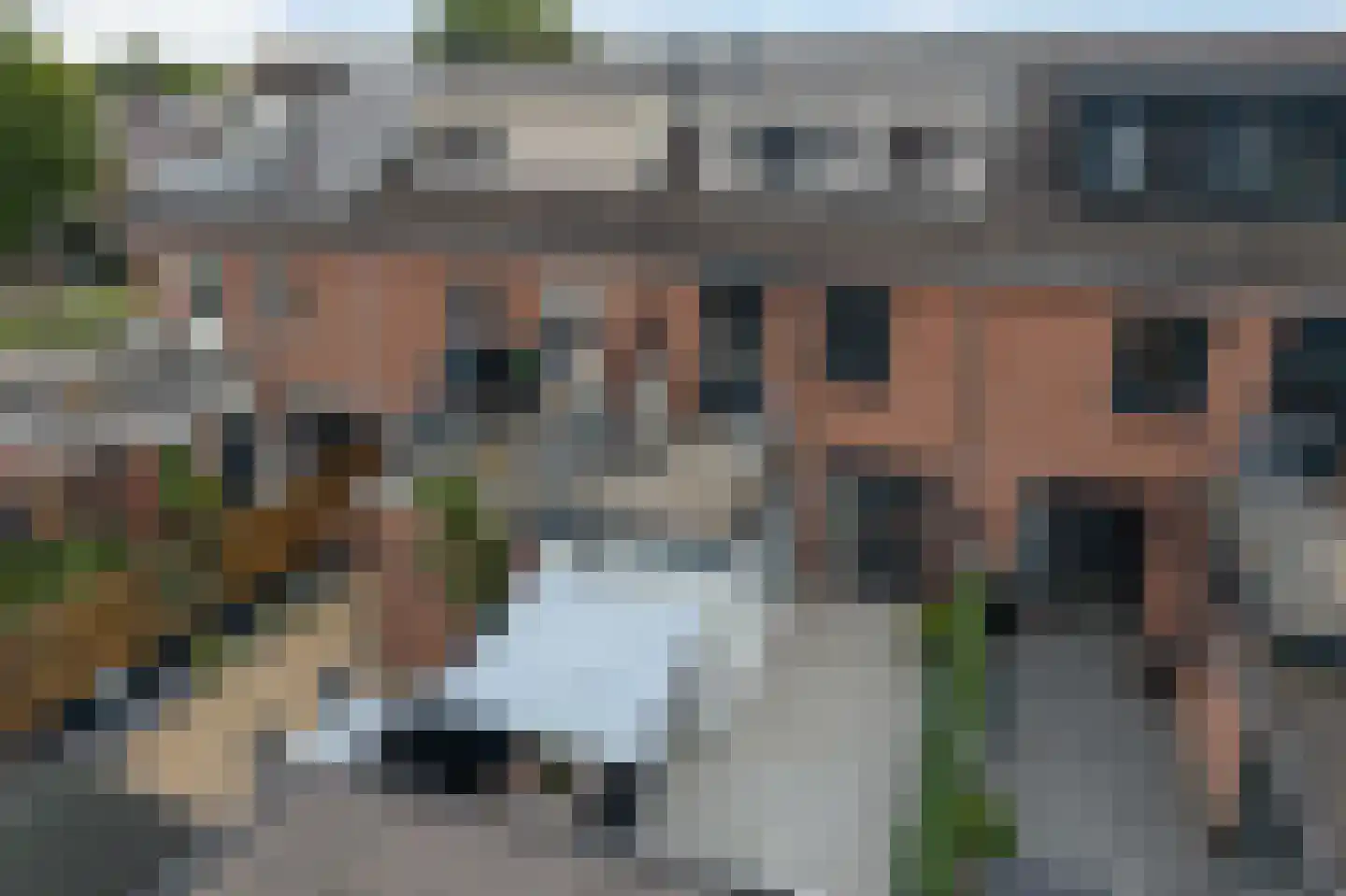 Lijster 21 Genemuiden thumbnail 46