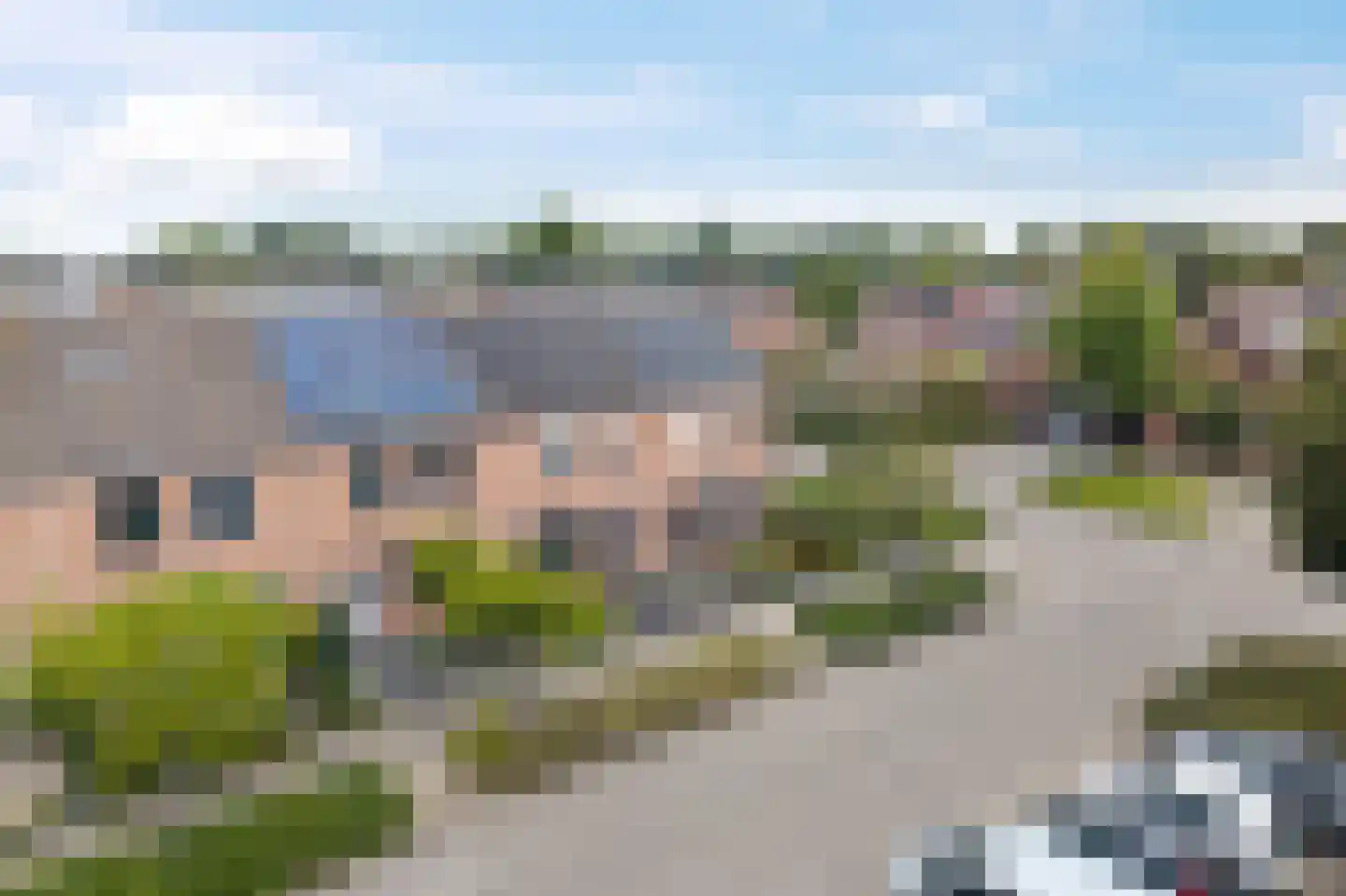 Lijster 21 Genemuiden thumbnail 48