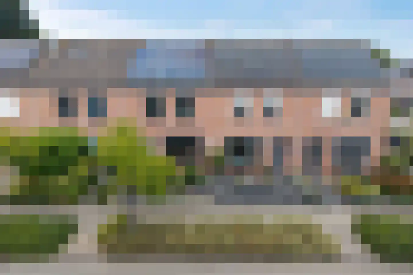 Lijster 21 Genemuiden thumbnail 49
