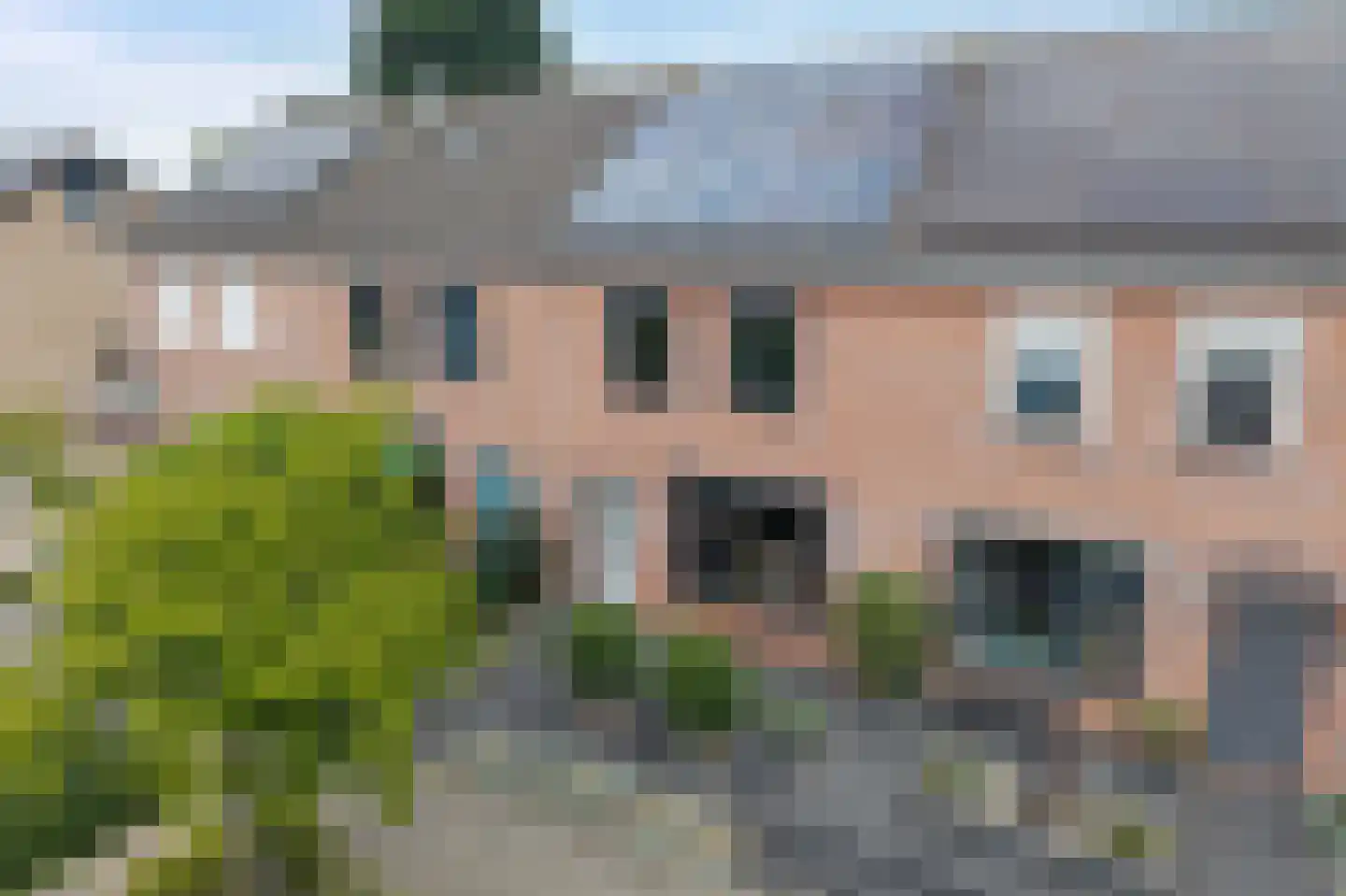 Lijster 21 Genemuiden thumbnail 50