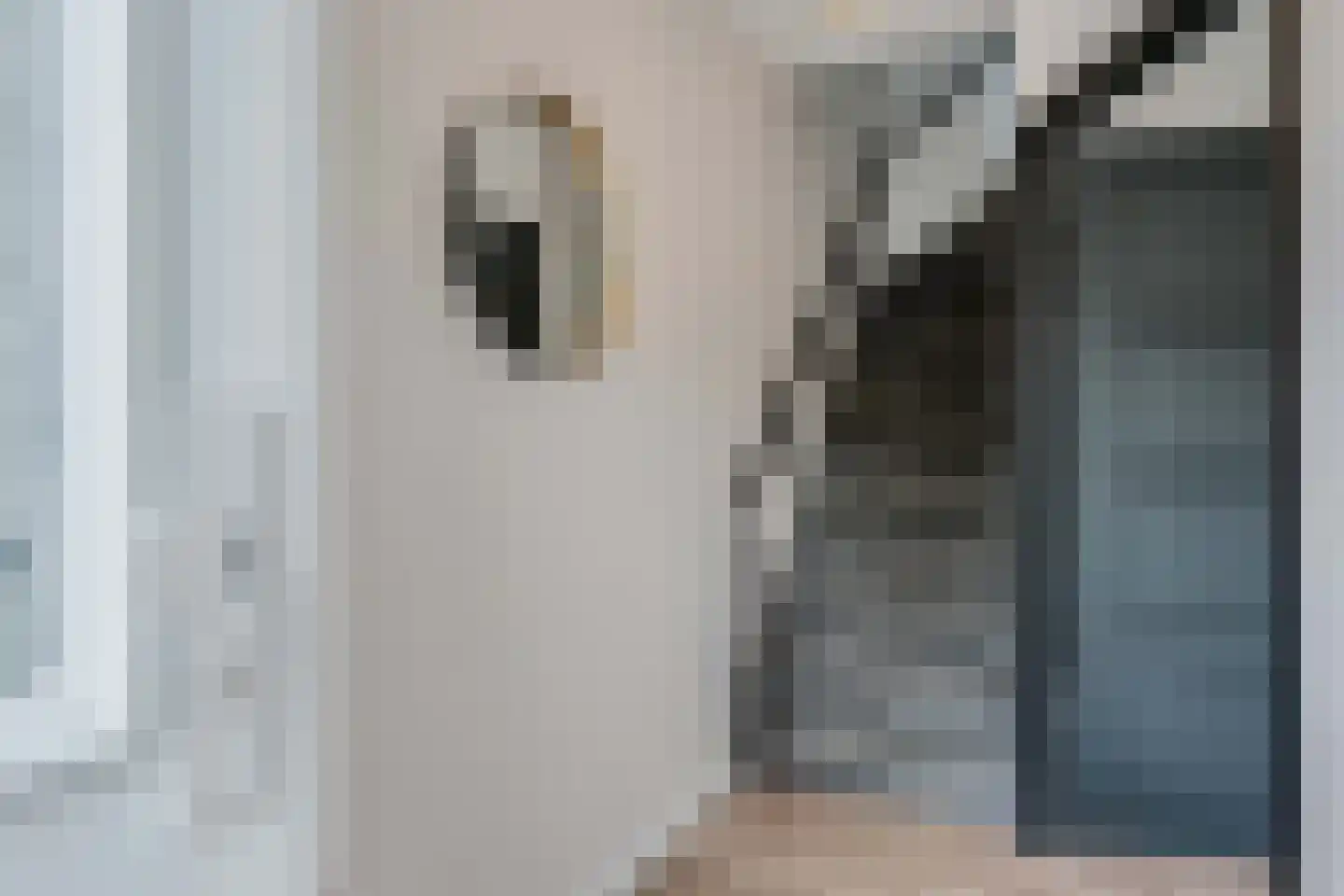 Lijster 21 Genemuiden thumbnail 6