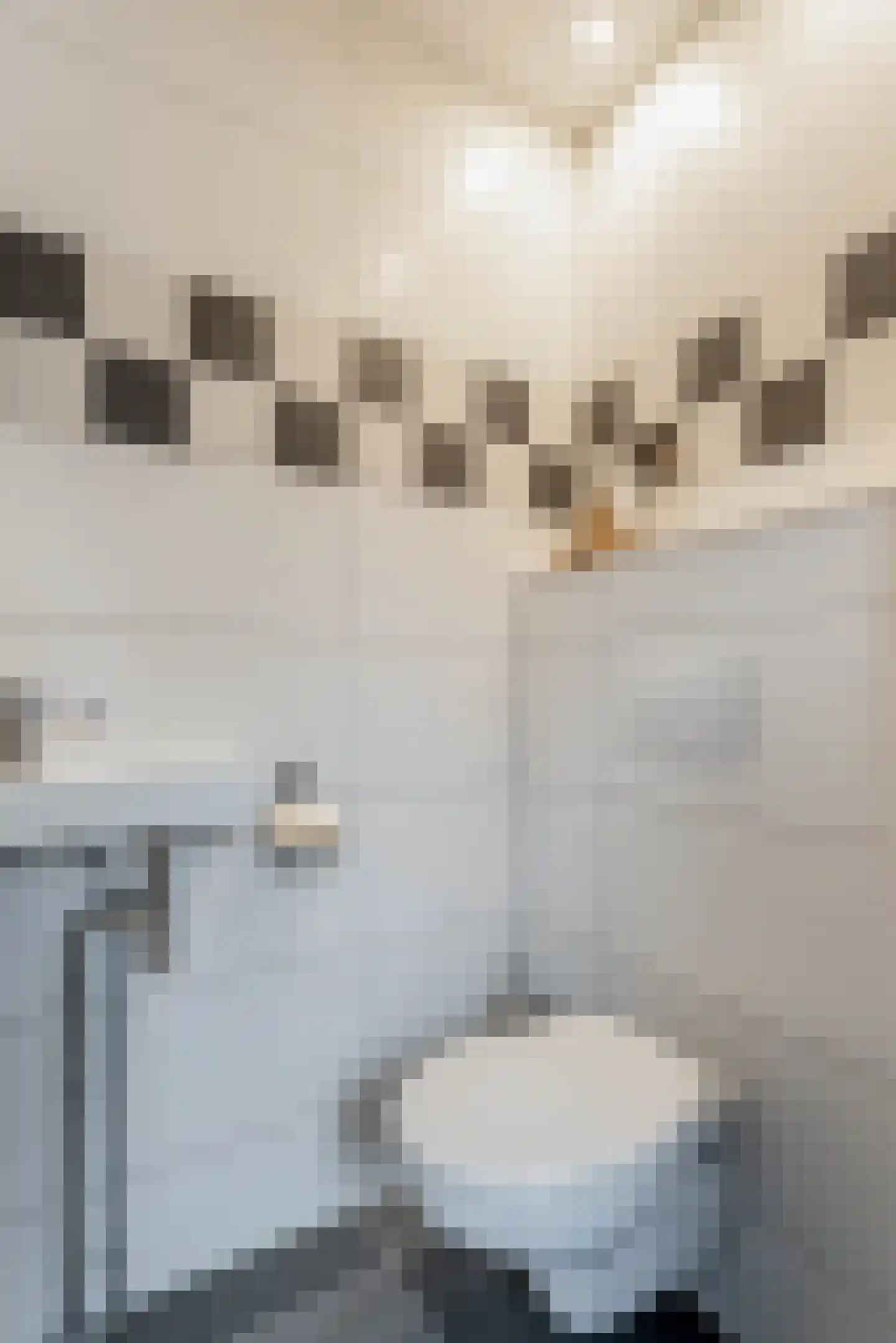 Lijster 21 Genemuiden thumbnail 8