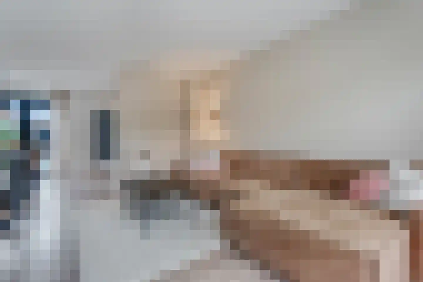 Lijster 21 Genemuiden thumbnail 9