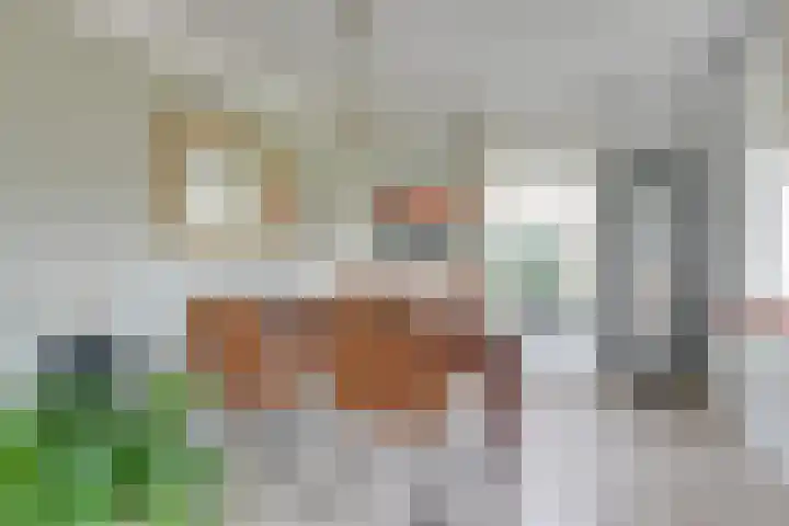 Lijster 3 Obdam thumbnail 10