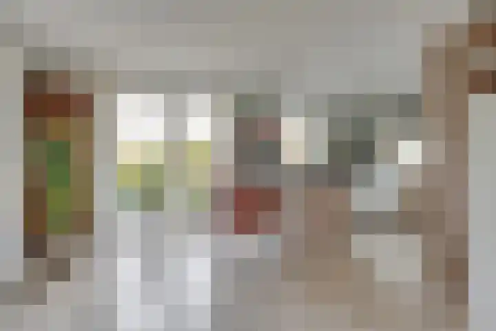 Lijster 3 Obdam thumbnail 13