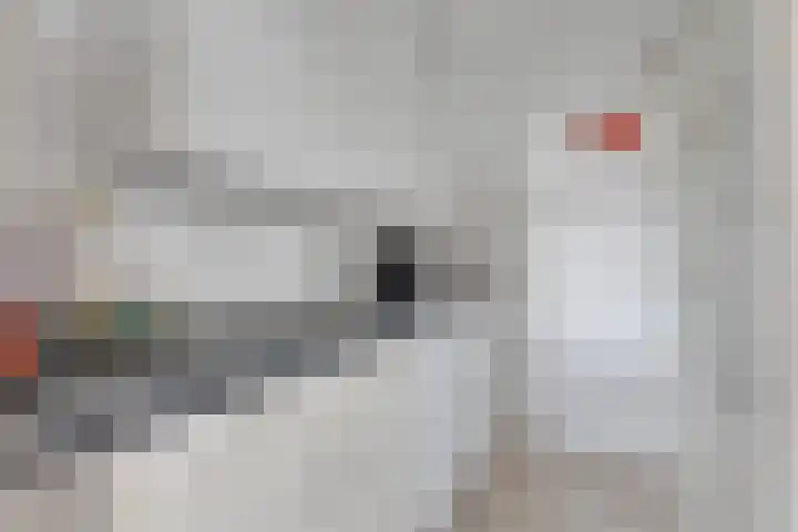 Lijster 3 Obdam thumbnail 19