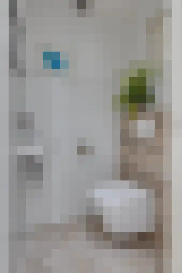 Lijster 3 Obdam thumbnail 22