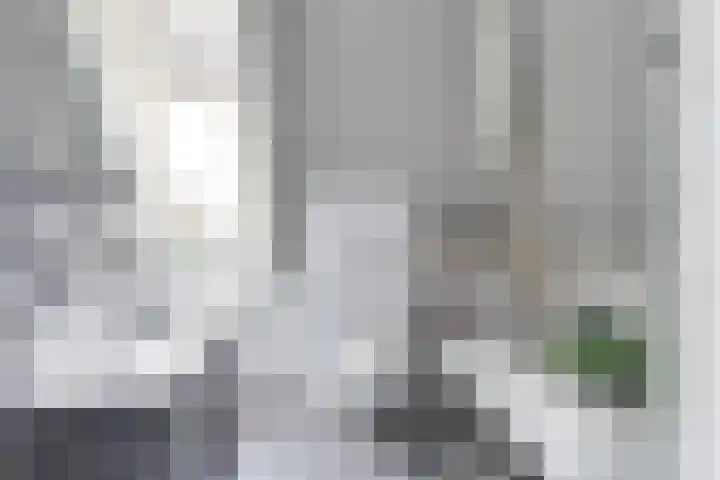 Lijster 3 Obdam thumbnail 28