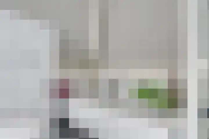 Lijster 3 Obdam thumbnail 30