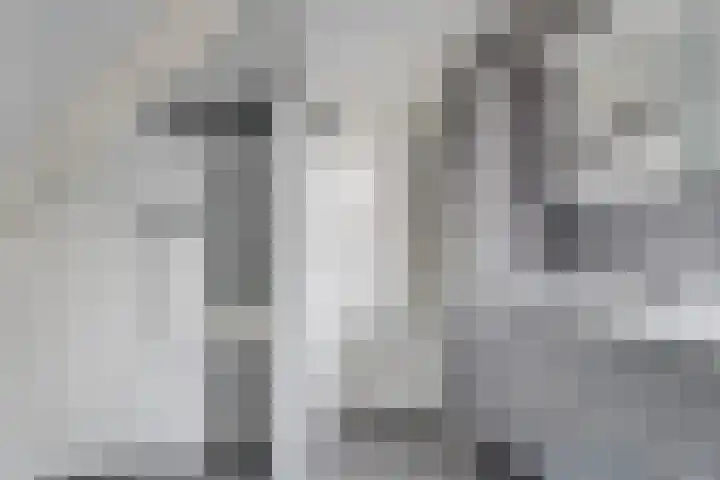 Lijster 3 Obdam thumbnail 31