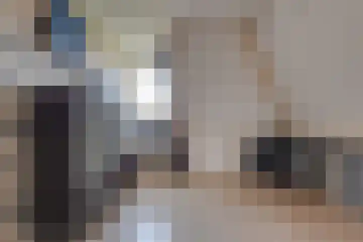 Lijster 3 Obdam thumbnail 33