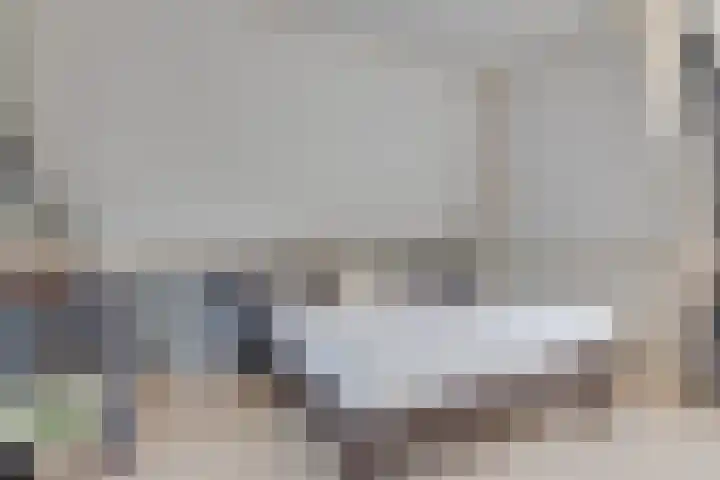 Lijster 3 Obdam thumbnail 36