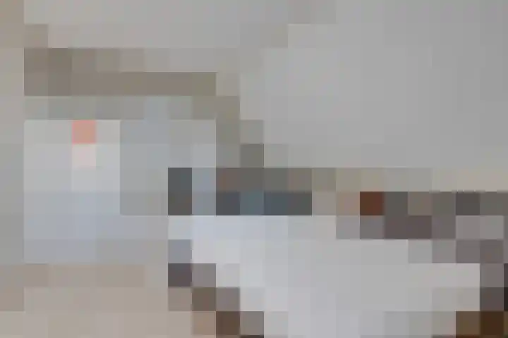 Lijster 3 Obdam thumbnail 37