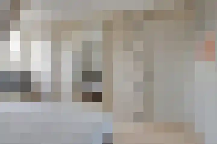 Lijster 3 Obdam thumbnail 38