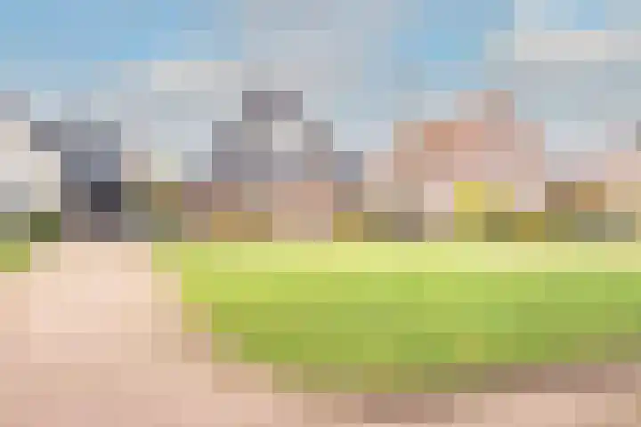 Lijster 3 Obdam thumbnail 4