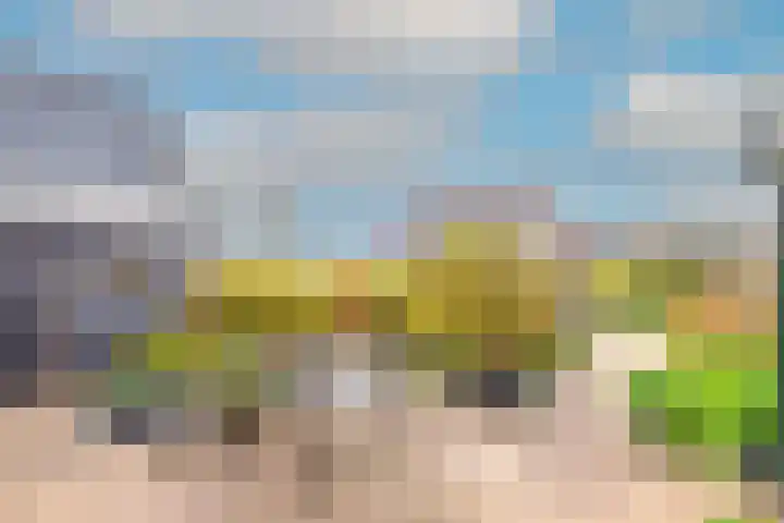 Lijster 3 Obdam thumbnail 42