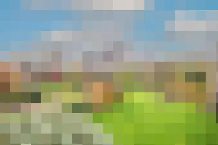 Lijster 3 Obdam thumbnail 44