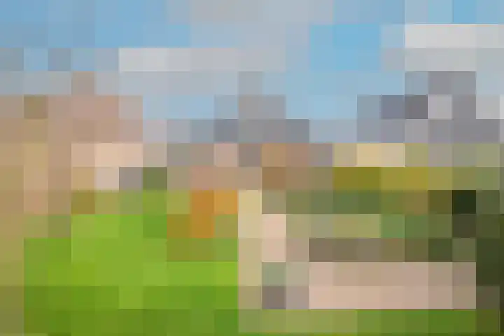 Lijster 3 Obdam thumbnail 47