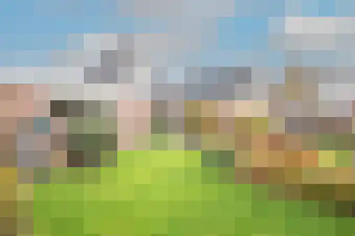 Lijster 3 Obdam thumbnail 48